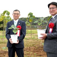 早生桐を植樹したＮＡＡの宮本取締役（左）とナリコーの加瀬社長。後方には成長が進んだ早生桐