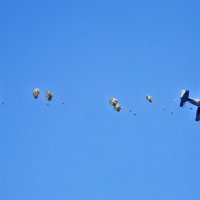 【動画あり】陸自第１空挺団、新年恒例の「降下訓練始め」　３年ぶりに一般公開、米英豪の部隊も参加　船橋・習志野演習場