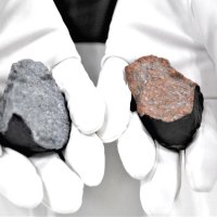 二つに分かれて見つかった破片ごとの色味や凹凸もリアルに再現＝習志野市役所
