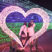 きらびやか“天の川“　茂原で「冬の七夕まつり」イルミネーション　３年ぶり、アーチ型も登場