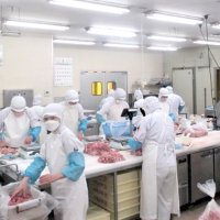 食肉加工の作業風景
