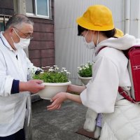 商店街に感謝の鉢植え　いすみ太東小、卒業前に