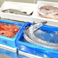 県内で水揚げされた後、成田市場に集荷された鮮魚