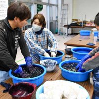 藍染めＴシャツ作りに取り組む参加者ら＝２６日、神崎町