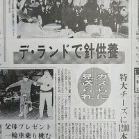 「デ・ランド」と呼ばれた夢の国　昔はＴＤＬではなかった―　東京ディズニーランド、略称の歴史を探る　【レトロ新聞調査隊】