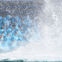 【動画あり】新入社員にシャチ（幸）あれ！　豪快水しぶきで激励　鴨川シーワールドで入社式