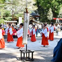 「御田植祭」始まる　五穀豊穣祈り 香取神宮