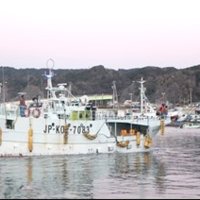 勝浦漁港に入港する高知船籍の漁船