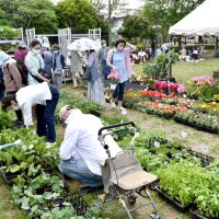 「緑のまつり」節目の４０回　ユーカリが丘に１万５千人　苗販売や多彩イベント