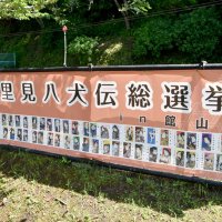 ４９人と１匹“出馬”　館山城で八犬伝総選挙