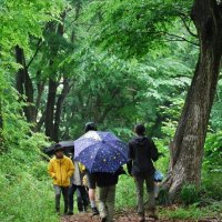 市民緑地「閉鎖」に驚きの声　千葉市の川戸の森　「市有地でないと知らなかった」「告知は張り紙だけ」　相続契機、過去にも　在り方探る