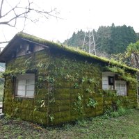 森ラジオステーション＝２０２１年（森ラジオステーション×森遊会提供）
