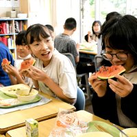 スイカ給食に児童笑顔　富里　校庭の畑で交配作業も