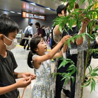 病気と闘う子どもに「貸切特急」プレゼント　京成電鉄、成田空港への旅に招待