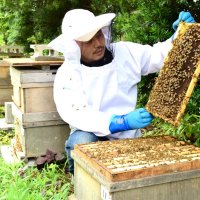 養蜂通じ環境保全へ　畜産知識生かし蜜蜂飼育　合同会社ＨＡＮＡＰ（長生村）　【ちばの元気企業】