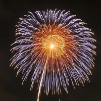 鴨川の花火大会中止　駐車場やスタッフの確保が難航　十分な安全対策難しく