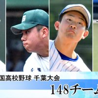 第１０５回全国高校野球千葉大会　出場校プロフィル