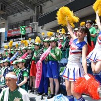 美爆音ＶＳ市船ソウル　習志野と市船橋の強豪対決、スタンド応援も熱気　第１０５回全国高校野球　千葉大会　第１１日