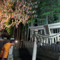 ライトアップされた「八幡の藪知らず」の鳥居と、児童らが書いた願い事の短冊＝２日夜、市川市
