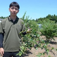 学生運営　ブルーベリー園楽しんで　ヒマワリ迷路新たに設置　東金・県立農業大学校　３０日まで、土日開催