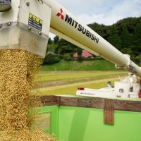 収穫したコンバインからトラック荷台に移される超早場米「五百川」
