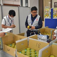 千葉県産梨「最高の一品」競う　味自慢コンテスト　「幸水」１２０点審査　３０日、結果発表　イオン津田沼