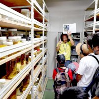 貴重な標本６万点間近に　海の博物館収蔵庫ツアー　勝浦　興味津々、子どもら見学