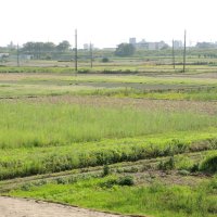 農地「売却したい」６割　松戸・矢切地区、市街化調整区域アンケート　市都市計画審議会