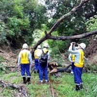 小湊鉄道、集中工事すれば数カ月で復旧　ＪＲＴＴ、被災箇所を調査　台風１３号影響で運休続く
