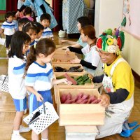 ヤサイちゃんと園児交流　８月３１日（やさいのひ）　食育で魅力発信　横芝まさご幼稚園