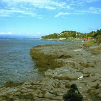 半島形成　隆起の歴史　水深変化、漁師町へ大打撃　【房総の記憶　関東大震災１００年】