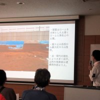 市川・国府台遺跡の調査結果、千葉県教委が報告　「郡衙との関連強い」と専門家