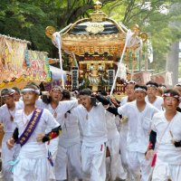 安房最大祭礼「やわたんまち」　５年ぶり勢ぞろいで魅了　館山に神輿や山車集結、１７日も