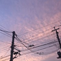 【速報】山武市の停電解消　計１１４０軒　設備に樹木等接触か