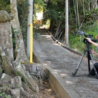 失われる景色を撮る　使命感抱き芝山に通う　郷土カメラマン・中島誠二さん（７１）　【記録を残す　第３滑走路に変わる地区】（上）
