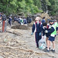 地元の浜みんなで大掃除　富浦、富山２中学校協力　南房総　藻場再生へ