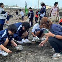 海洋汚染の要因となるマイクロプラスチックを拾う中学生たち

