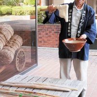 自然薯の収穫期到来、粘り気十分　君津・清和地区　試し掘りで「小ぶりも味良し」