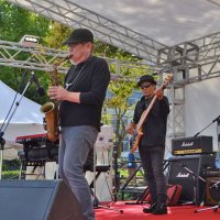 ステージで演奏を披露する出演者たち＝２１日、船橋市の天沼弁天池公園
