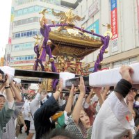 ６年ぶり大みこし渡御　市川・葛飾八幡宮で八幡祭　担ぎ手５００人、勇壮練り歩きに歓声