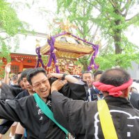 ６年ぶりに繰り出した葛飾八幡宮の大みこし＝１日、市川市