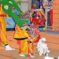 ５年ぶり「岩沼の獅子舞」　初の女性演者も舞台へ、伝統つなぐ　千葉県の無形民俗文化財　長生村
