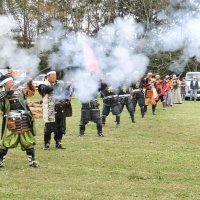 武者行列や火縄銃実演　３日、八街御成街道祭り　大声大会参加受け付けも