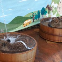 カピバラ「いい湯だな♪」　もうすぐ「いい風呂の日」　富津・マザー牧場　打たせ湯に目を細め