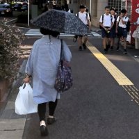 １１月なのに…千葉県内、夏日　木更津、市原２６・４度　