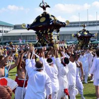 １０年ぶり神輿集結　１５基勇壮に、手作り子ども神輿も　町制４０年の睦沢