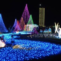 マザー牧場が「妖精の国」に　イルミネーションと富士山夕景が共演　「妖精エリア」も新登場