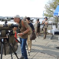 野鳥観察や研究発表　我孫子でバードフェス　４年ぶり本格開催、約１００団体出展　５日まで