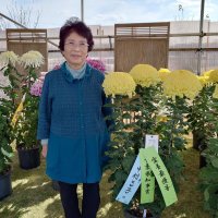 丹精込めた大輪ずらり　市原菊花展、中村さんに知事賞
