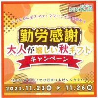 子ども連れの親を応援！　勤労感謝で中学生以下が無料　駐車料金も　市原・こどもの国キッズダム
